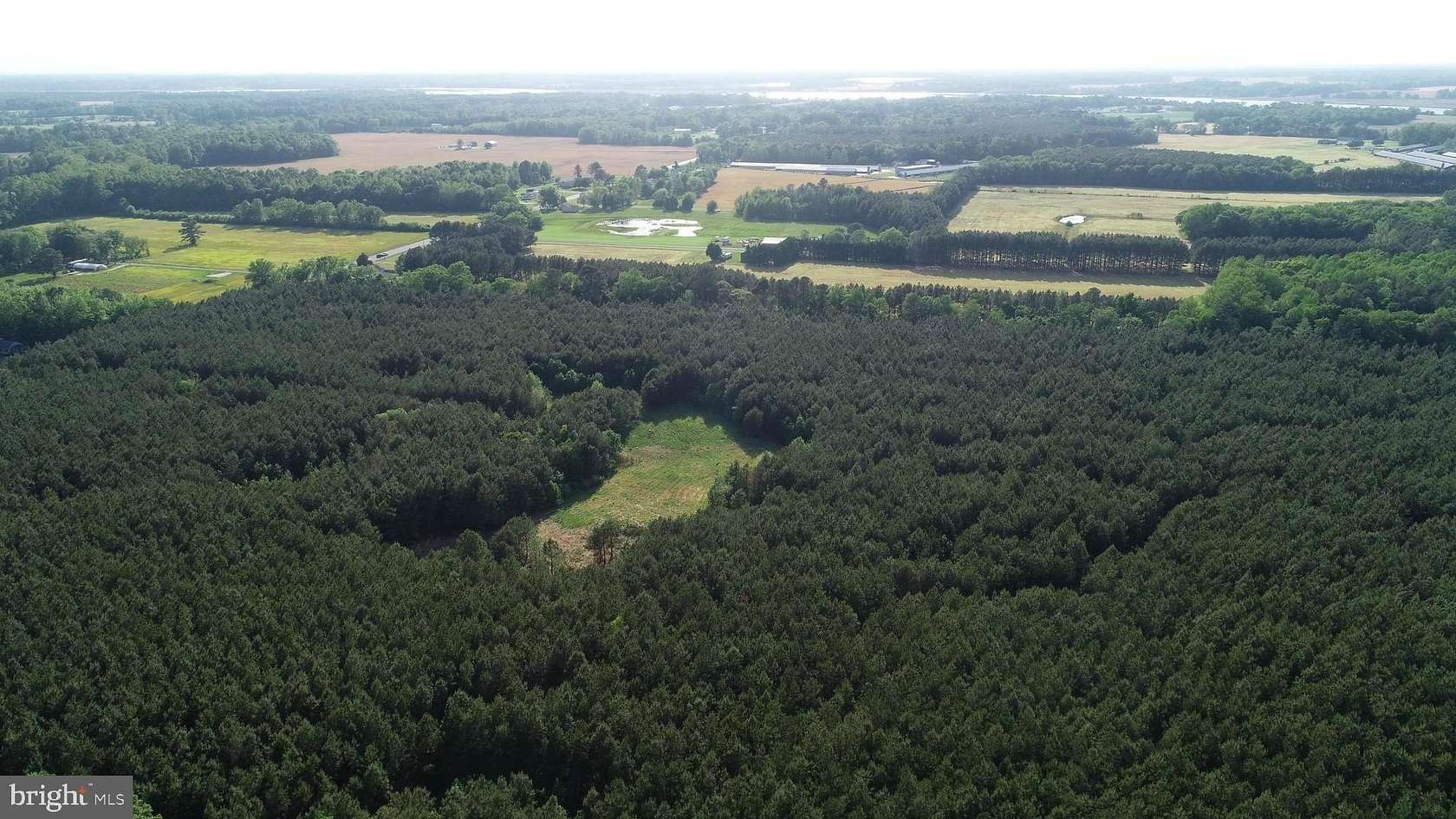 63.2 Acres of Land for Sale in Preston, Maryland