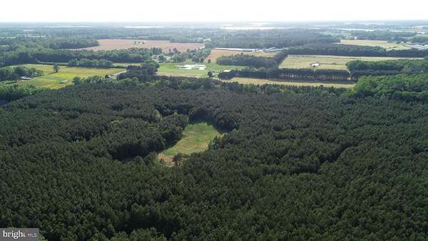 63.2 Acres of Land for Sale in Preston, Maryland