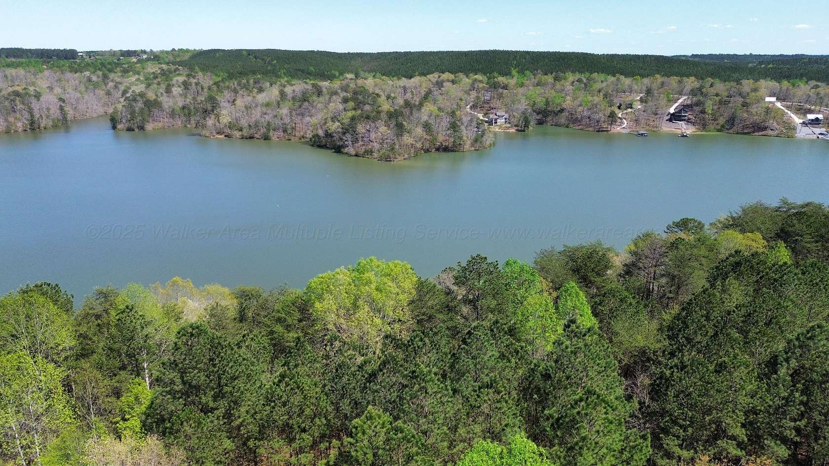 7 Acres of Land for Sale in Arley, Alabama