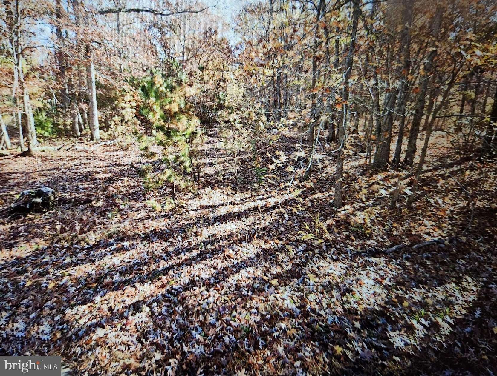 0.71 Acres of Land for Sale in Buena, New Jersey