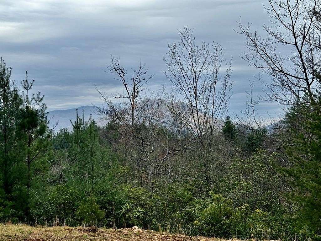 1.23 Acres of Residential Land for Sale in Topton, North Carolina