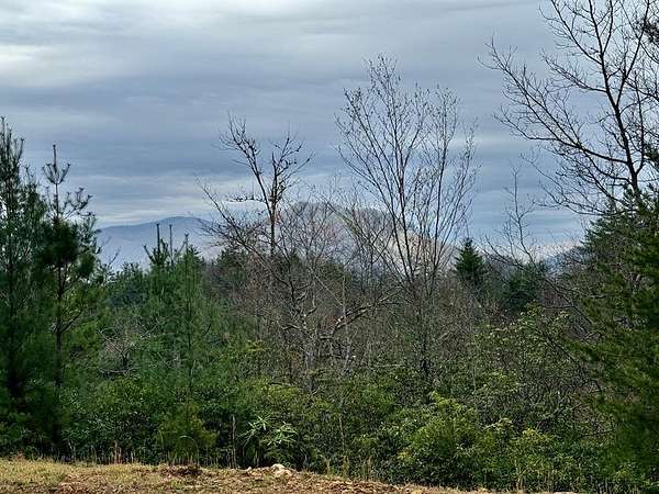 1.23 Acres of Residential Land for Sale in Topton, North Carolina