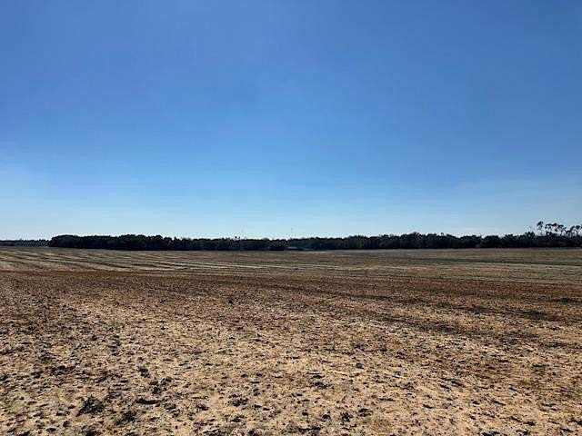 77.3 Acres of Land for Sale in Donalsonville, Georgia