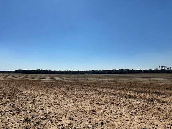 77.3 Acres of Land for Sale in Donalsonville, Georgia
