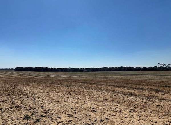 77.3 Acres of Land for Sale in Donalsonville, Georgia