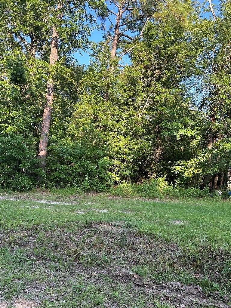0.31 Acres of Land for Sale in Donalsonville, Georgia