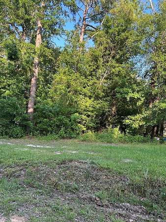 0.31 Acres of Land for Sale in Donalsonville, Georgia