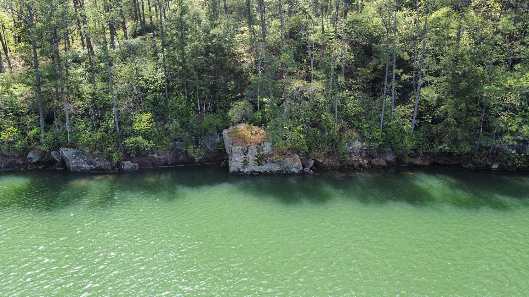 0.93 Acres of Residential Land for Sale in Double Springs, Alabama