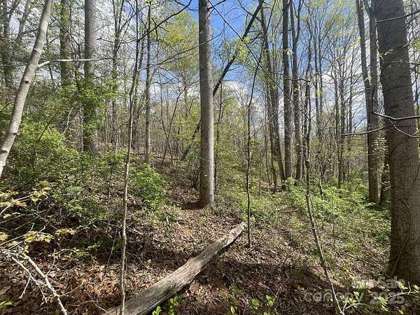 1.4 Acres of Residential Land for Sale in Asheville, North Carolina