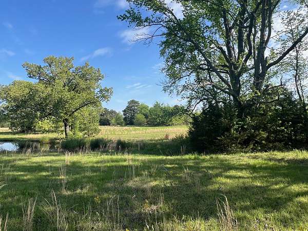 30 Acres of Land for Sale in Mount Pleasant, Texas