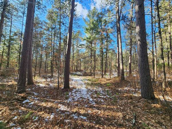 32 Acres of Land for Sale in St. Germain Town, Wisconsin