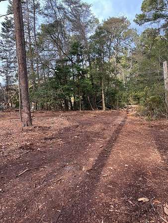 5.7 Acres of Land for Sale in Eastville, Virginia