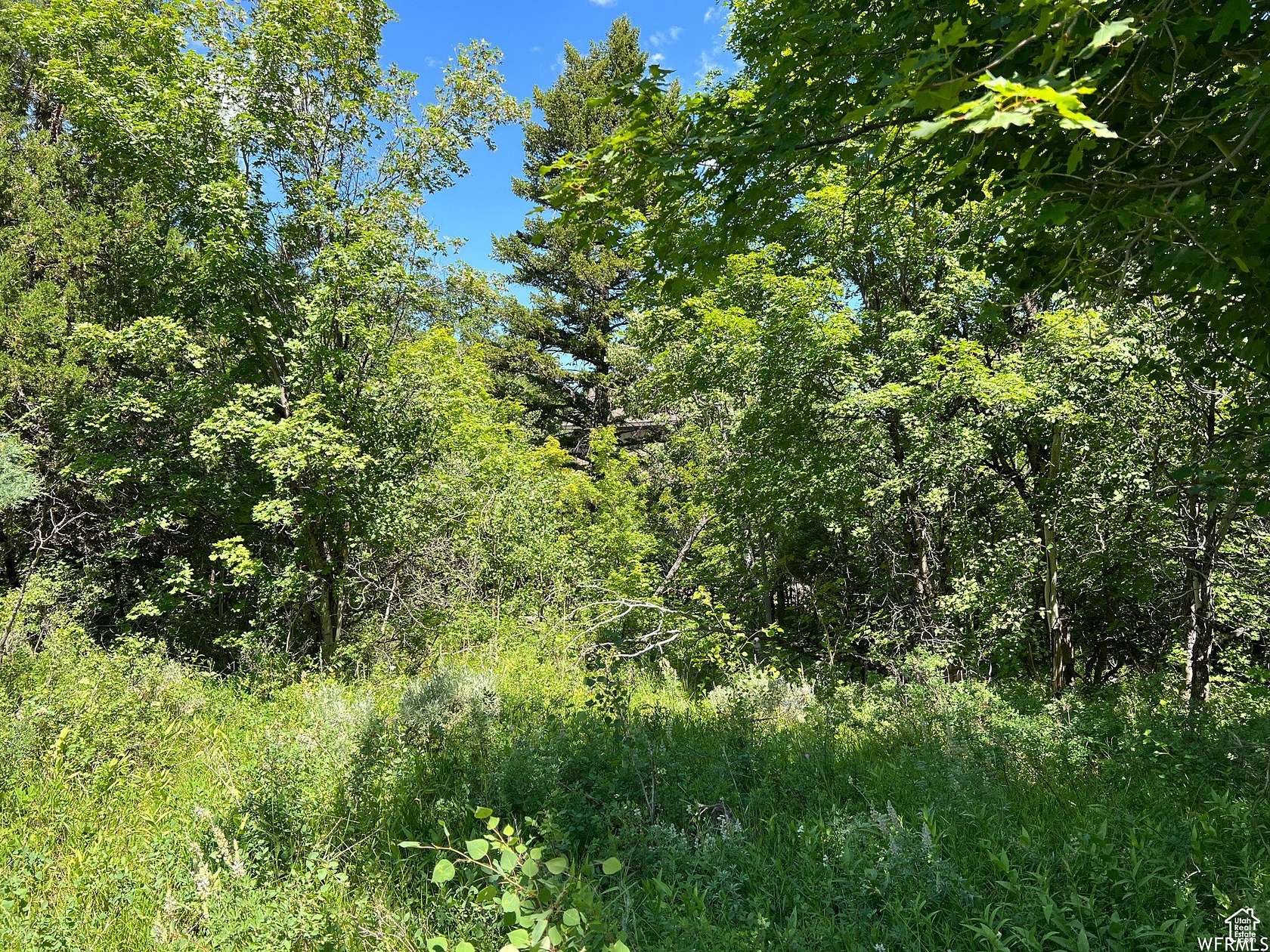 0.33 Acres of Residential Land for Sale in Garden City, Utah