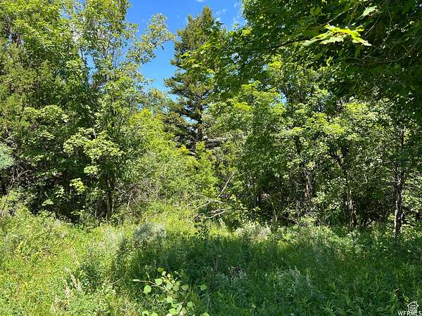 0.33 Acres of Residential Land for Sale in Garden City, Utah