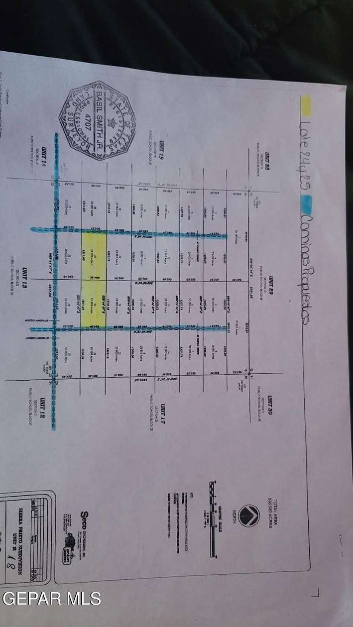 20 Acres of Land for Sale in Sierra Blanca, Texas