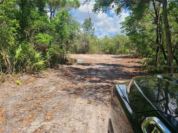 18.5 Acres of Land for Sale in Osteen, Florida