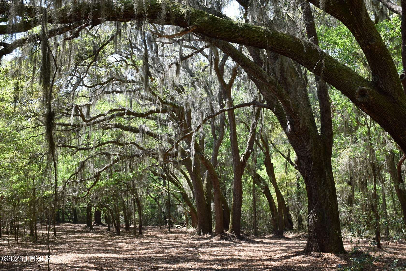 10.3 Acres of Land for Sale in Beaufort, South Carolina