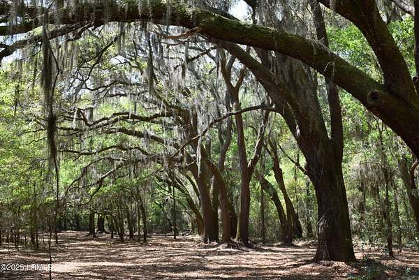 10.3 Acres of Land for Sale in Beaufort, South Carolina