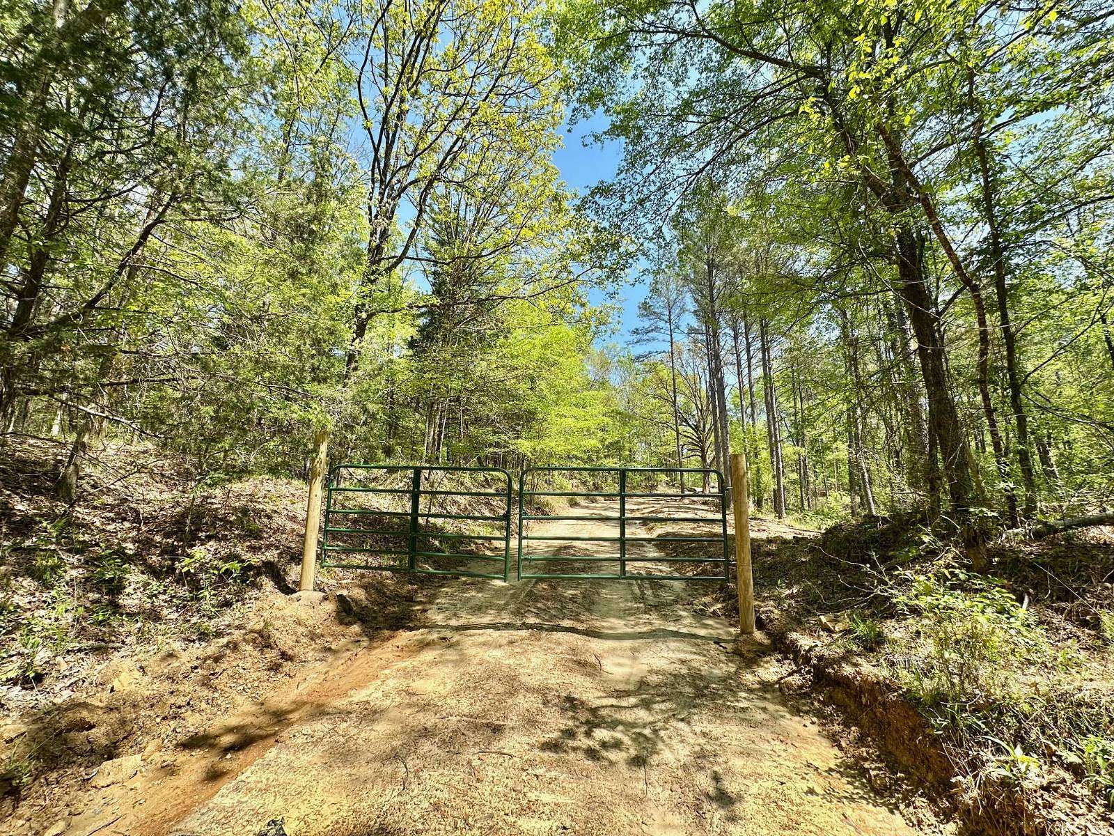 446 Acres of Recreational Land for Sale in Carrollton, Mississippi