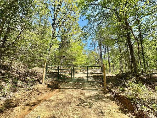 446 Acres of Recreational Land for Sale in Carrollton, Mississippi