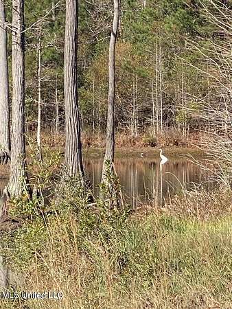 115 Acres of Land for Sale in Gulfport, Mississippi