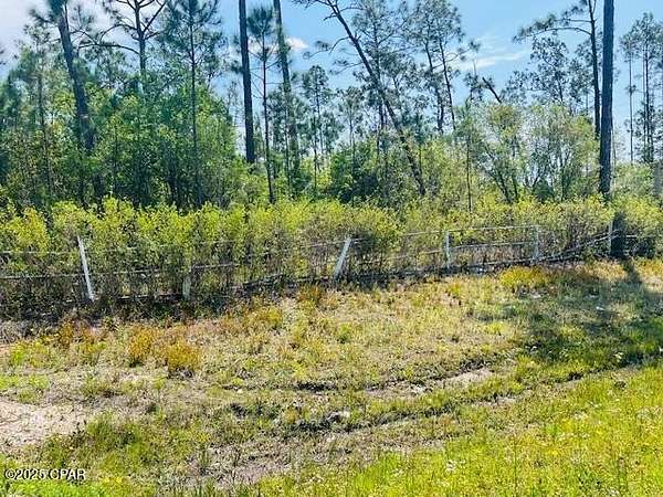 1.26 Acres of Land for Sale in Wewahitchka, Florida