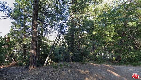 0.69 Acres of Residential Land for Sale in Cedar Glen, California