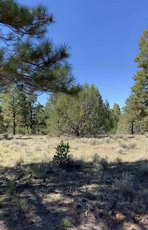 11 Acres of Recreational Land for Sale in Grants, New Mexico