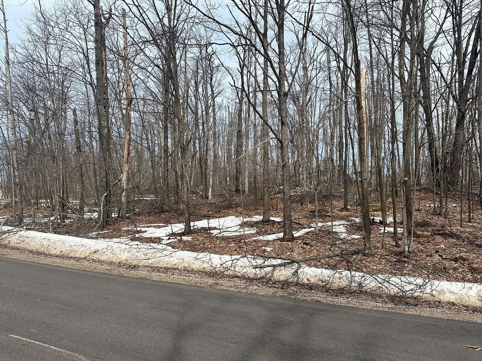 Land for Sale in Gaylord, Michigan