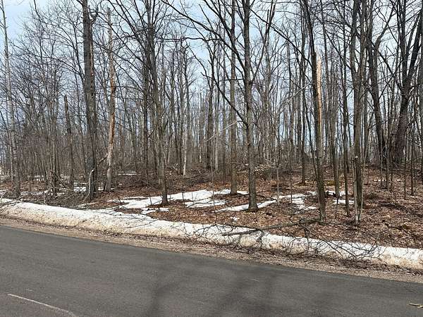 Land for Sale in Gaylord, Michigan