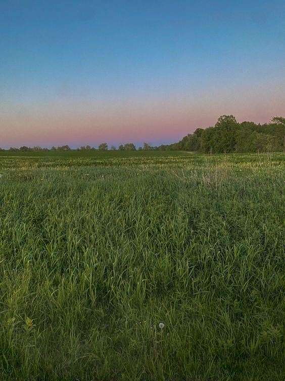 7.5 Acres of Residential Land for Sale in Drexel, Missouri