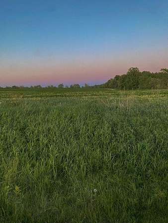 7.5 Acres of Residential Land for Sale in Drexel, Missouri