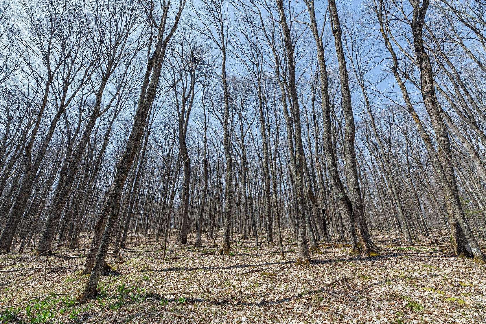 1.6 Acres of Residential Land for Sale in Presque Isle, Wisconsin