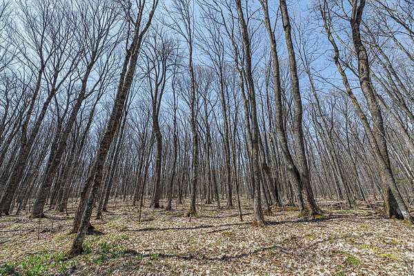 1.6 Acres of Residential Land for Sale in Presque Isle, Wisconsin