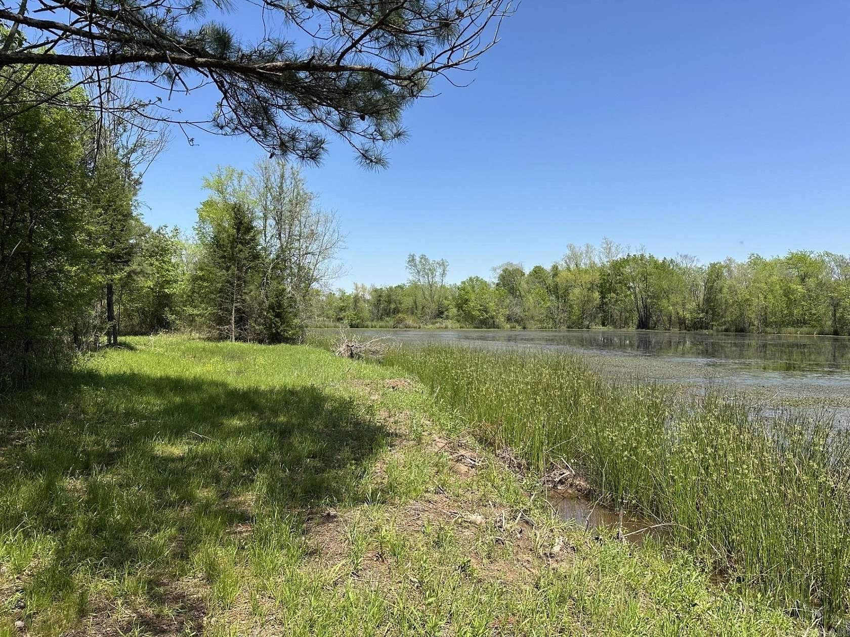 94 Acres of Recreational Land for Sale in Fouke, Arkansas