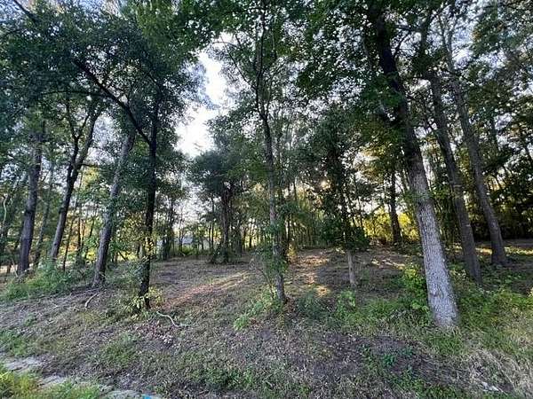 0.19 Acres of Residential Land for Sale in Lufkin, Texas