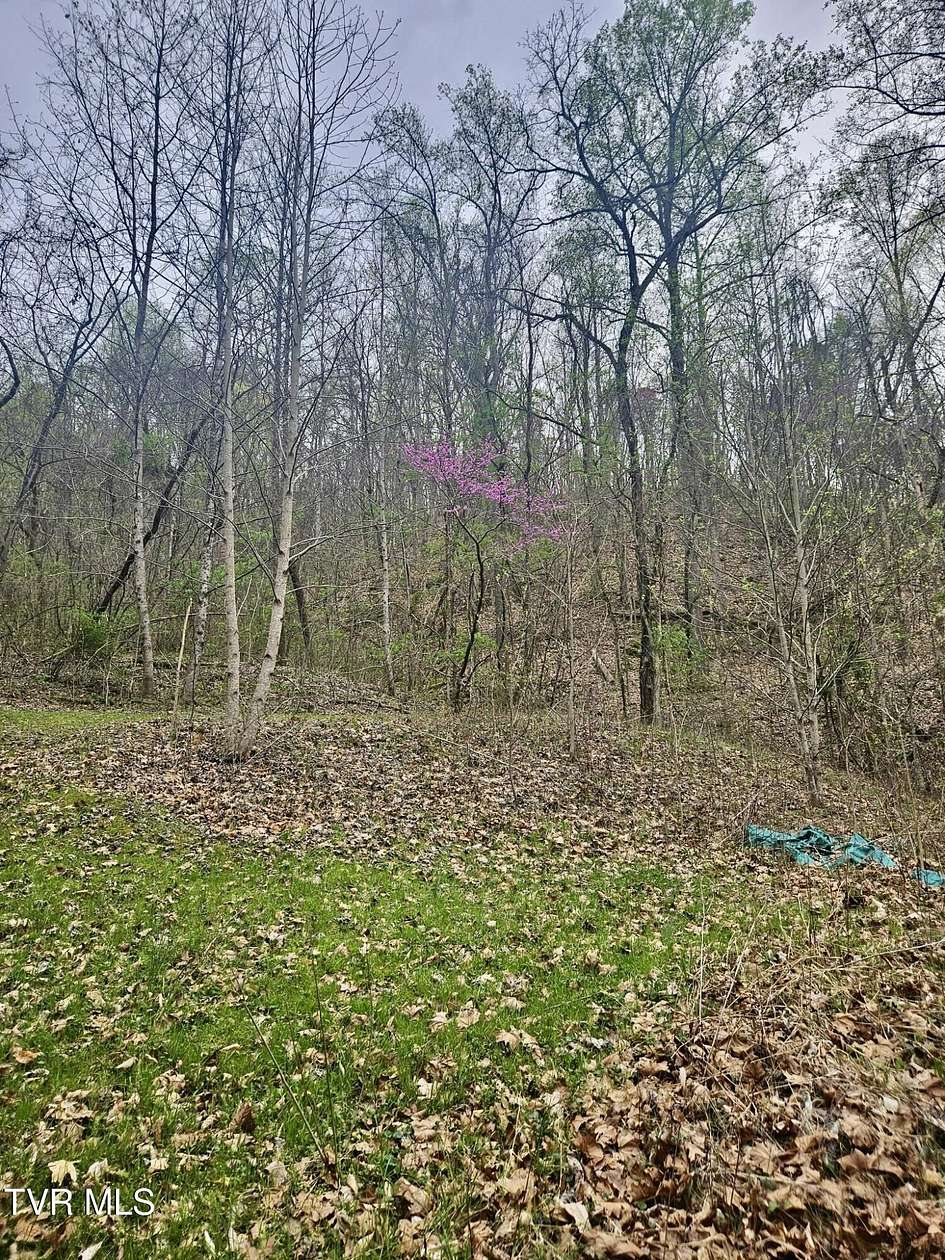 42.4 Acres of Recreational Land & Farm for Sale in Church Hill, Tennessee