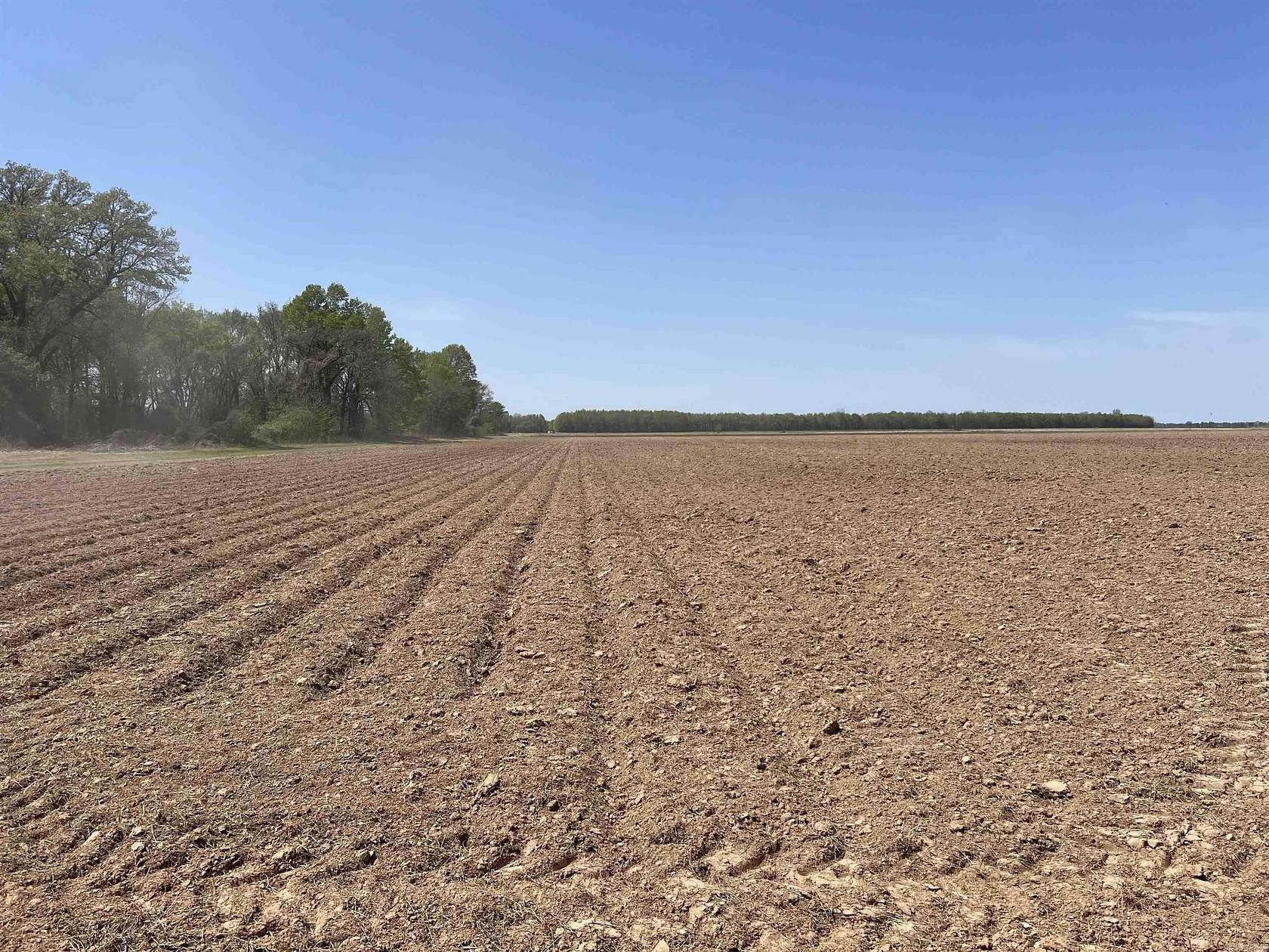145 Acres of Agricultural Land for Sale in Lonoke, Arkansas