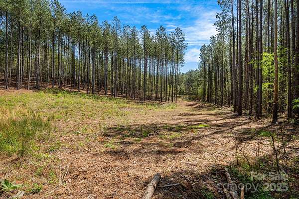 1.59 Acres of Residential Land for Sale in Mill Spring, North Carolina
