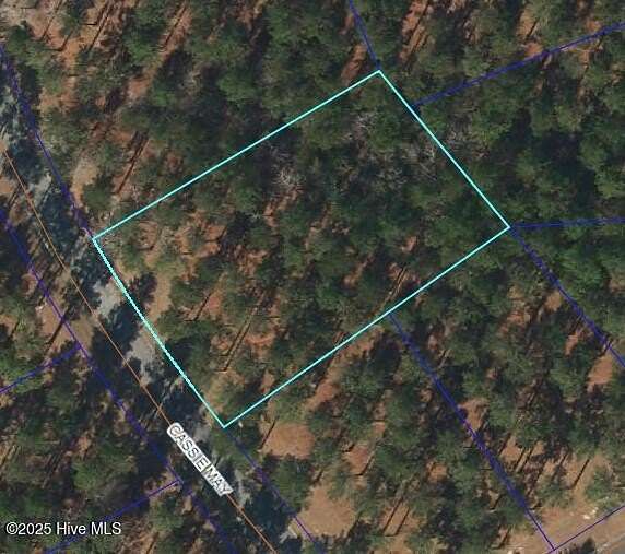 1 Acre of Residential Land for Sale in Oriental, North Carolina