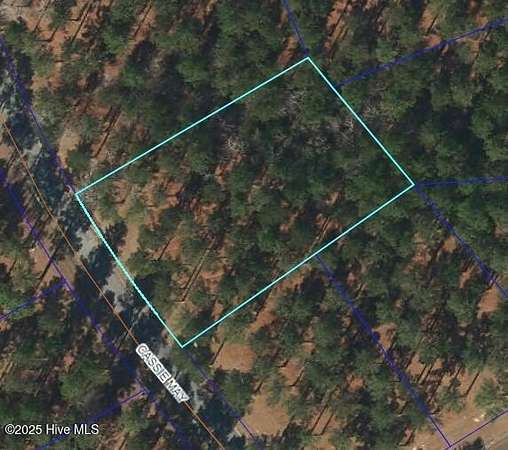 1 Acre of Residential Land for Sale in Oriental, North Carolina