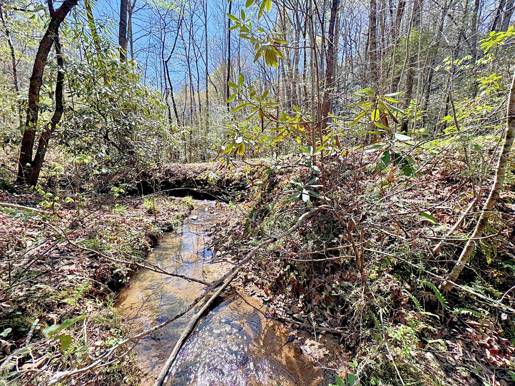 25.5 Acres of Recreational Land for Sale in Old Fort, North Carolina