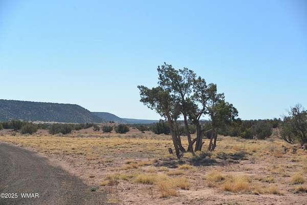 79 Acres of Recreational Land with Home for Sale in Snowflake, Arizona