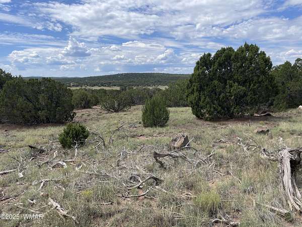 1 Acre of Land for Sale in Concho, Arizona