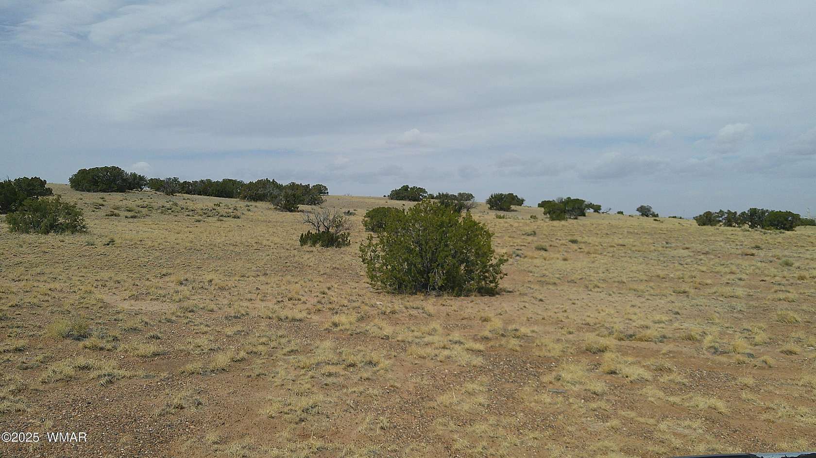 40 Acres of Land for Sale in St. Johns, Arizona
