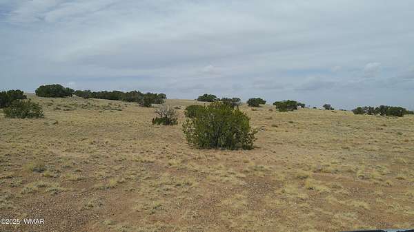 40 Acres of Land for Sale in St. Johns, Arizona
