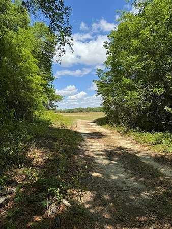 107 Acres of Land for Sale in Donalsonville, Georgia