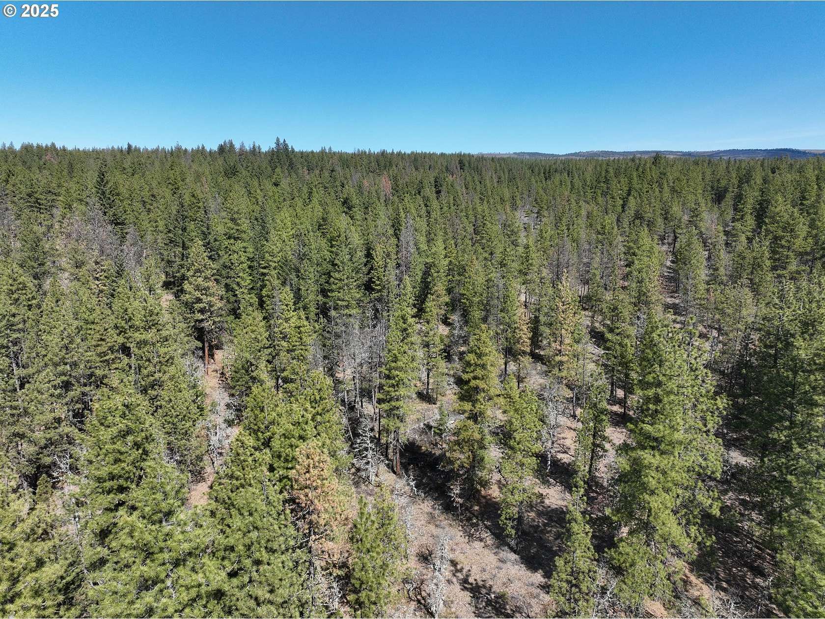 80 Acres of Recreational & Residential Land for Sale in Goldendale, Washington