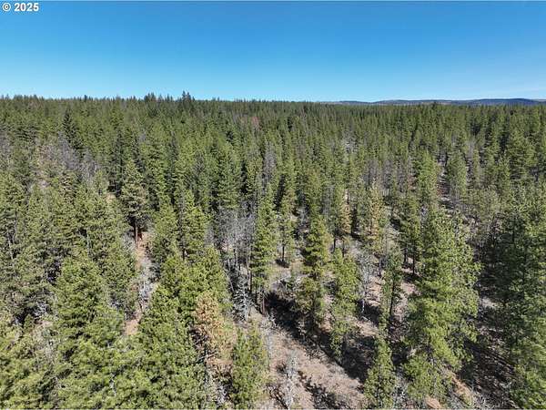 80 Acres of Recreational & Residential Land for Sale in Goldendale, Washington