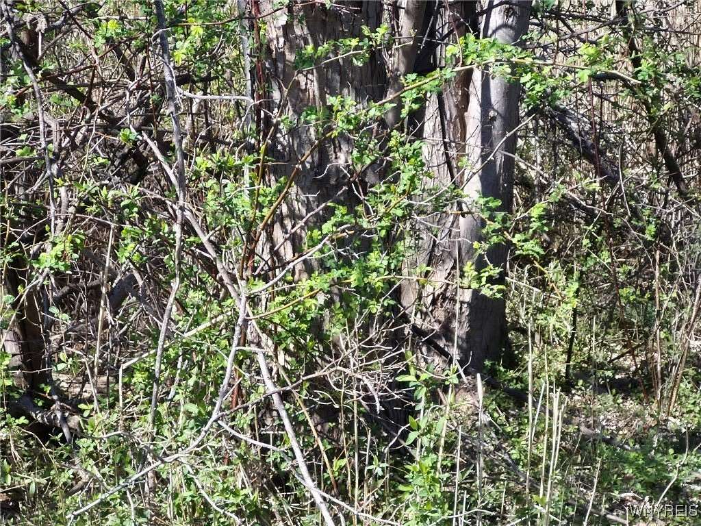 0.17 Acres of Land for Sale in Angola, New York